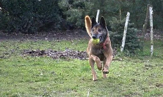 Kocha aportować i kocha być kochanym :), małopols