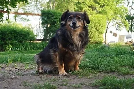 MIKUSIA - OBY JEJ TUŁACZKA DOBIEGŁA KOŃCA., Kundelki cała Polska
