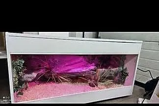 Okazja terrarium dla agamy gekona żółwia węża kameleona legwana boa pająka