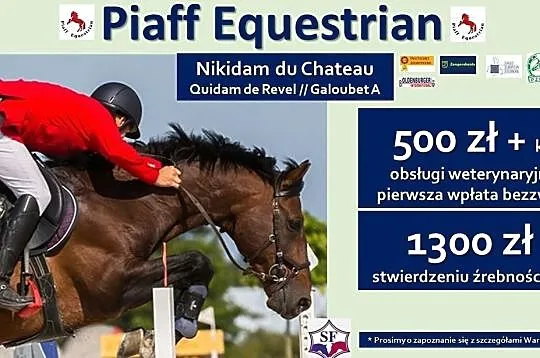 STANÓWKA 2021 PIAFF EQUESTRIAN - OGIER SELLE FRANC, Reńska