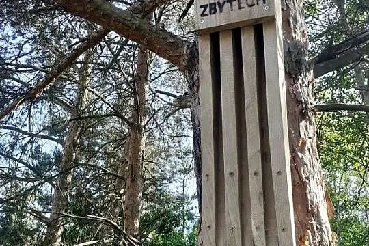 Dębowa, szczelinowa budka dla nietoperzy, polecana przez OTON
