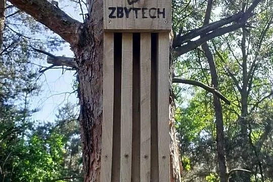 Dębowa, szczelinowa budka dla nietoperzy, polecana przez OTON, Opolskie, Lubsza