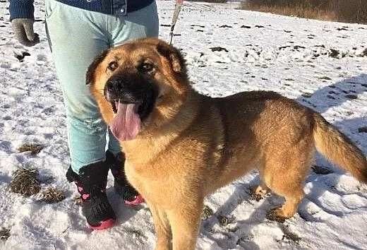 Nina, pragnie znaleźć swoje miejsce., podlaskie A