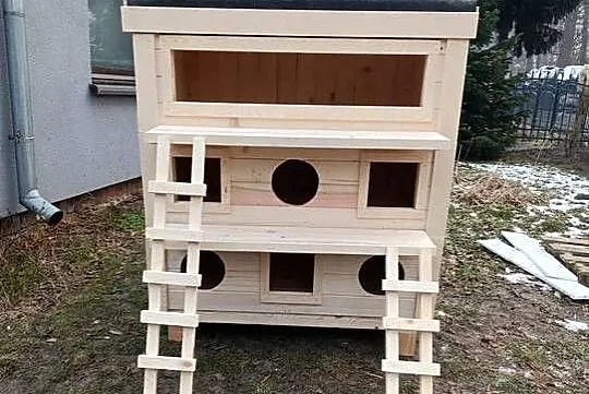 Domek dla kotów, Opolskie, Grodziec