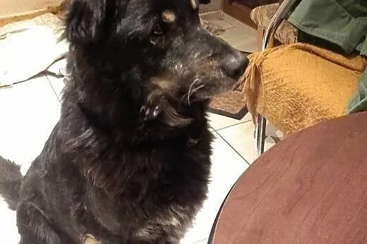 Diuna marzy o swoim miejscu,  łódzkie Radomsko