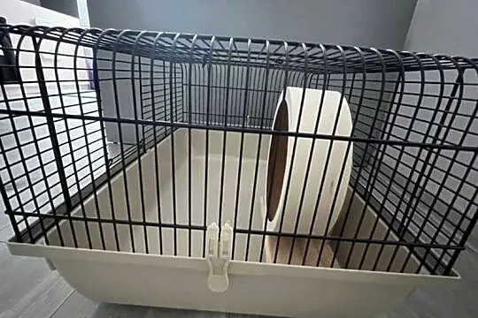 Klatka dla chomika z akcesoriami, Śląskie, Chorzów