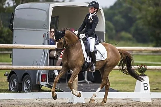 Wybitny kuc ujeżdżeniowy FEI Pony Wałach 6 lat, , 