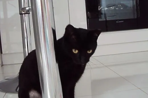 Kizia Mizia kocha szuka wygodnego fotela i rak do 
