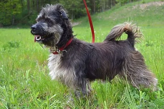 Piękny Ken z wąsiskami i bródką :)