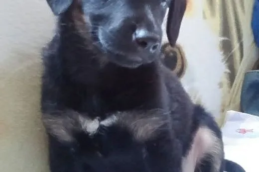 Kto mnie pokocha, bo ja kocham wszystkich!!!,  maz