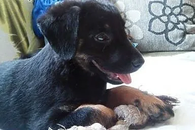 Kto mnie pokocha, bo ja kocham wszystkich!!!,  maz