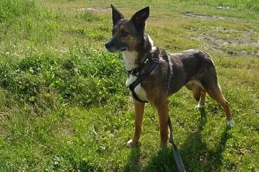 Kali czeka na pomoc. Czy może liczyć na Ciebie?,  