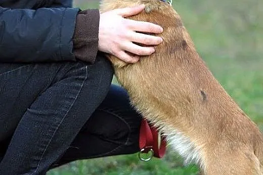 Papaj - kurdupelek zaczepno-obronny :),  warmińsko