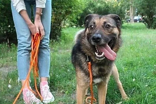 1,2,3... adoptujesz Borysa właśnie Ty! :), Łódzkie, Łódź