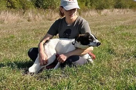 Wesolutki psiak bardzo prosi o opiekę i dom!,  mał