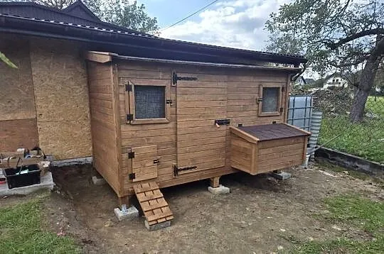 Kurnik dla kur