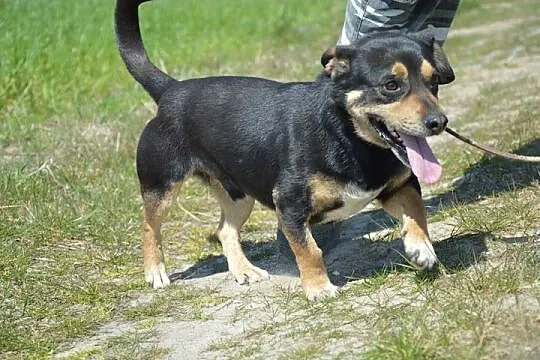 Pokochaj małego Tofika, tak wiele przeszedł___