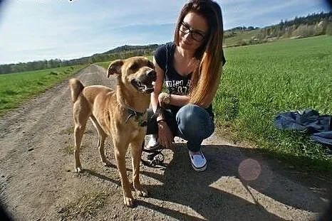 Azorek gotowy do adopcji.,  dolnośląskie Jelenia G