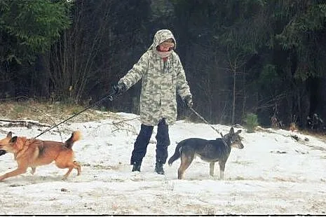 Czako starszy pies którego nikt nie chce pokochać!