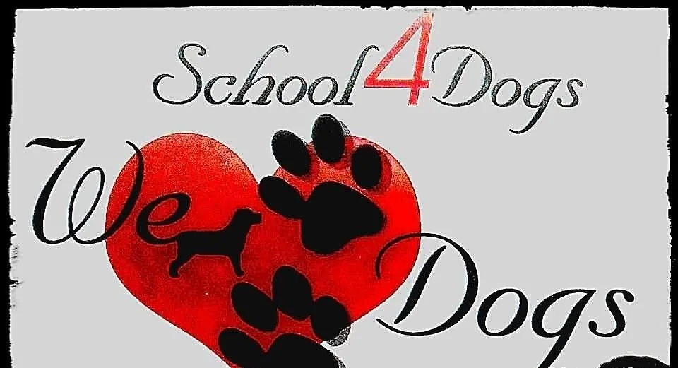 School4dogs. szkola dla psow-z dojazdem do klienta