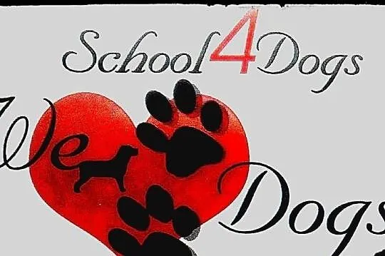 school4dogs. szkola dla psow-z dojazdem do klienta