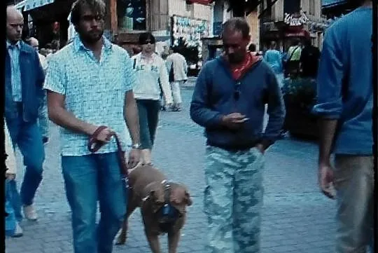School4dogs. szkola dla psow-z dojazdem do klienta
