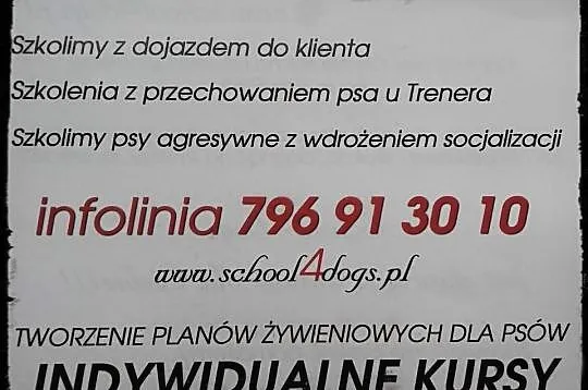 School4dogs. szkola dla psow-z dojazdem do klienta