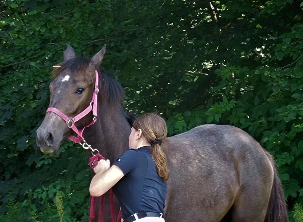 Sprzedam roczną klacz po Hickstead White!, , Czaniec