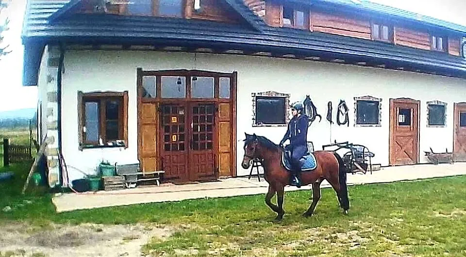 Sprzedam Kuc 12 lat, Świętokrzyskie, Kielce