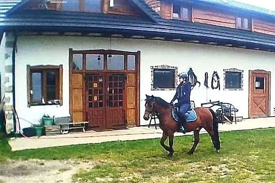 Sprzedam Kuc 12 lat