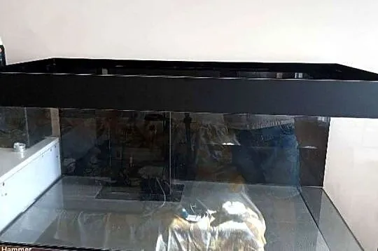 Zestaw pod akwarium morskie akwarium szafka dębowa stelaż lampa sump i inne