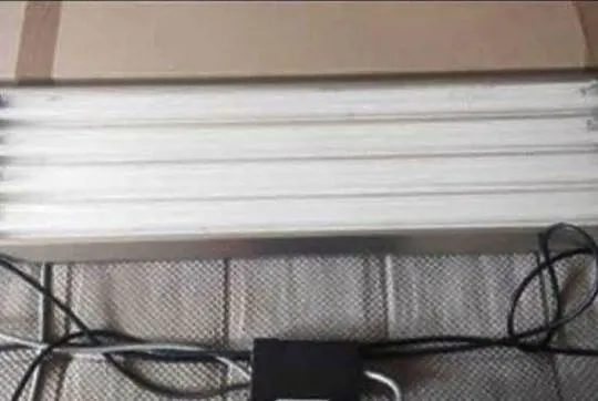 Zestaw pod akwarium morskie akwarium szafka dębowa stelaż lampa sump i inne, Podlaskie, Białystok