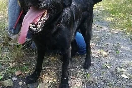 Malutki Teoś szuka domu