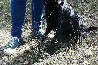 Malutki Teoś szuka domu, Śląskie, Bytom