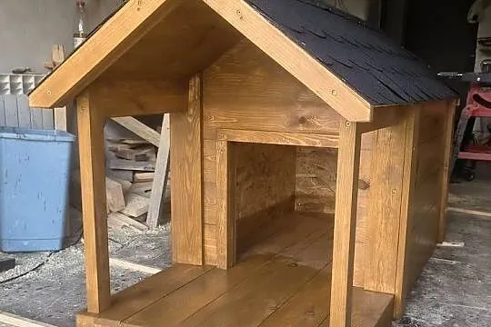 Budy dla psów