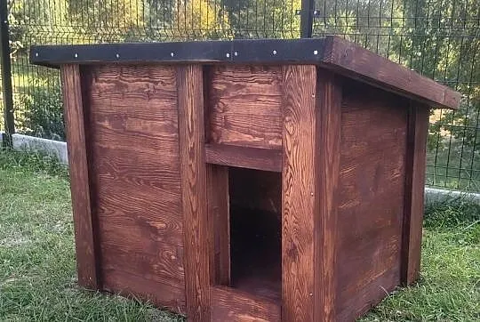 Budy dla psów, Lubelskie, Bełżyce