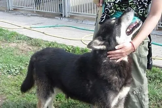 TODORAN pokochał ludzi, czy ludzie pokochają Jego?