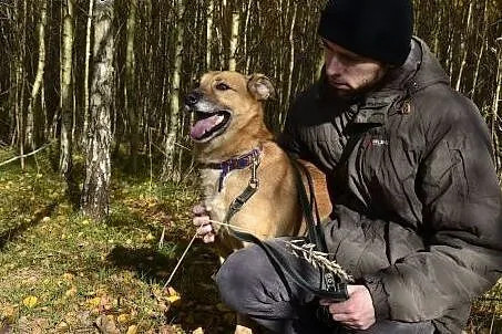 Reksio chciałby być kochany, mieć ciepły kocyk i p