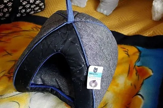 Domek dla pupila