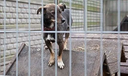Świat zapomniał o malutkim Mikim, małopolskie Kra