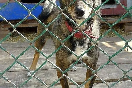 Świat zapomniał o malutkim Mikim,  małopolskie Kra