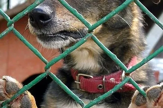 Świat zapomniał o malutkim Mikim,  małopolskie Kra