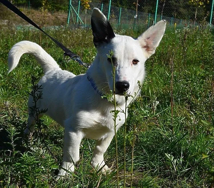 Kokos - małe, bialutkie cudeńko :)
