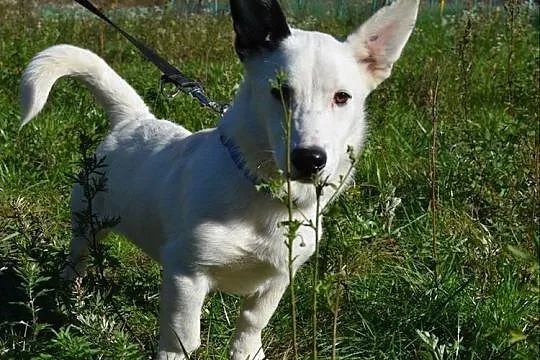 Kokos - małe, bialutkie cudeńko :)