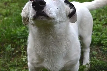 Kokos - małe, bialutkie cudeńko :)