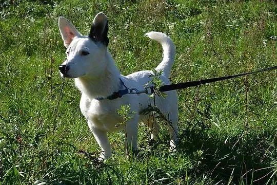 Kokos - małe, bialutkie cudeńko :)