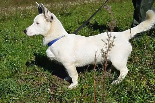 Kokos - małe, bialutkie cudeńko :)
