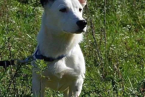 Kokos - małe, bialutkie cudeńko :)