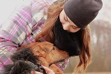 Filc wspaniały psiak kocha ludzi i świat daj mu cu