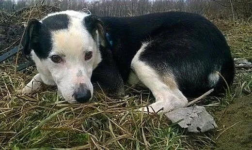 Wciśnięty w kącik, nigdy nie został zauważony, do